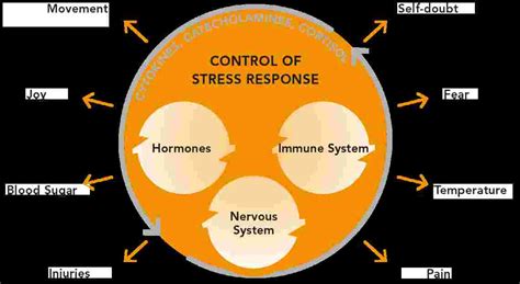 About The Biology Of The Stress Response And How To Control It