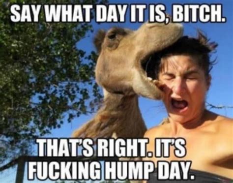 45 Hump Day Memes To Get You Through The Rest Of The Week Inspirationfeed