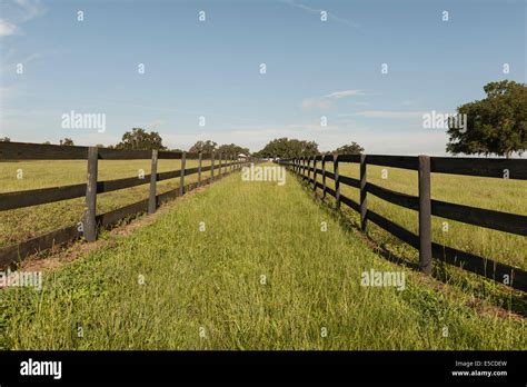 ocala florida usa countryside farmland landscape stock photo alamy