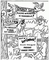 Smokey Coloring Bear Pages Popular Clip Library Colouring Coloringhome sketch template