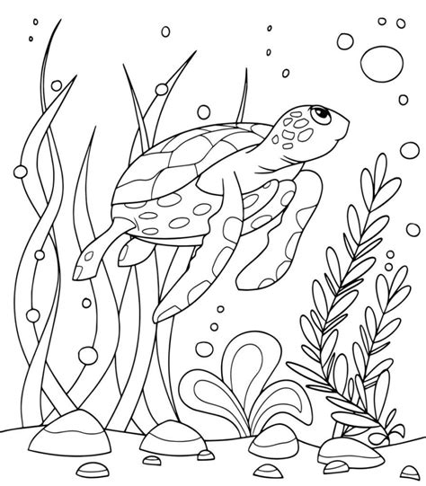 turtle coloring pages   printable  ocean coloring