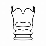 Larynx Trachea Thin Clipground sketch template