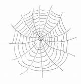 Web Coloring Spider Pages Kids Printable Websites Drawing Bestcoloringpagesforkids Adult Favorite Collection Getdrawings sketch template