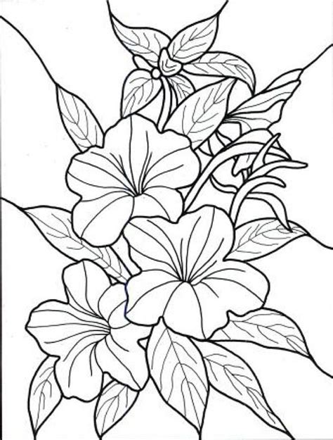 tropical flowers coloring pages   tropical flowers