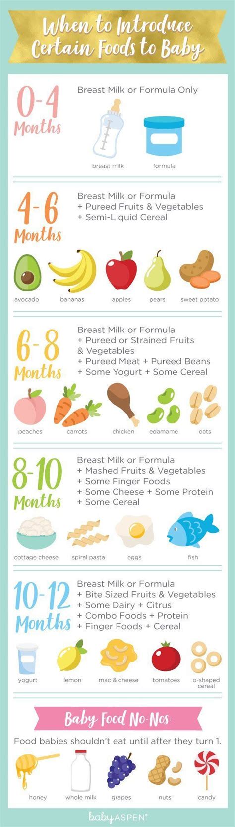 baby led weaning chart   introduce solids weaning chart  foods  baby eat