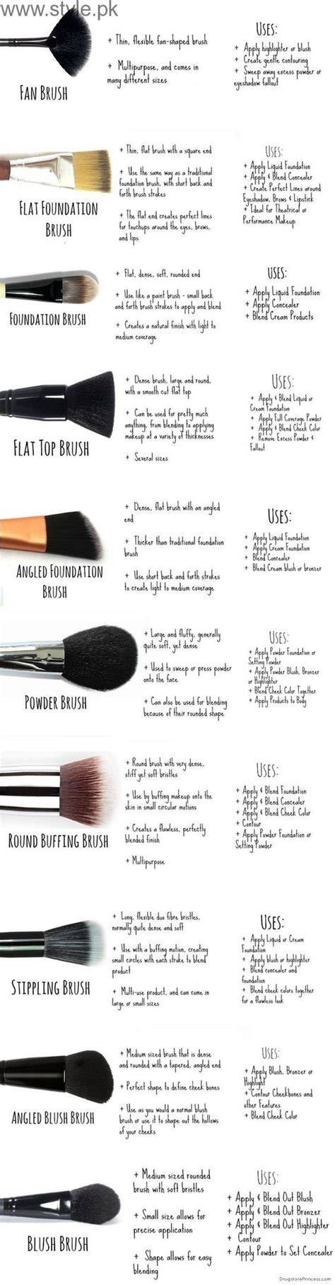 basic makeup brushes guide for beginners style pk
