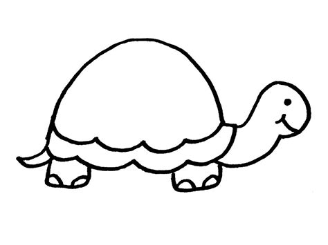 tortoise animals  printable coloring pages
