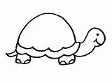 Tortue Coloriages sketch template