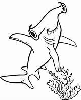 Shark Hammerhead Tulamama Topcoloringpages Tubarão sketch template