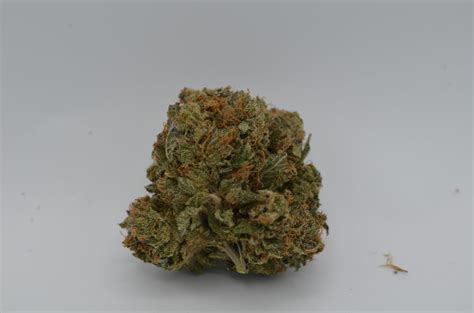 island pink kush flower thc herbalist