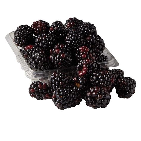 fresh blackberries shop fruit at h e b