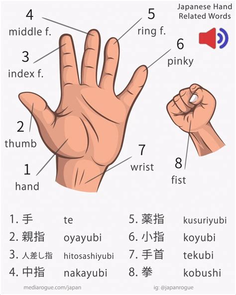 These Are The Pronunciations For Japanese Words For Hand Thumb Index