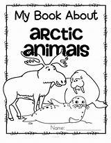 Polar Arctic Kidsparkz Coloringhome Getdrawings Elementary sketch template