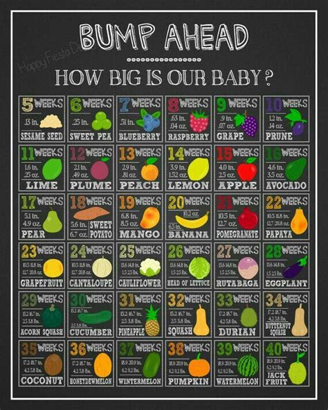 baby size compared  fruit chart baby pinterest