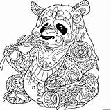Adulte Panda Zentangle Mange Gratuit Imprimé sketch template