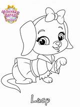 Haven Whisker Coloring Lucy Princess Pages Printable Categories sketch template