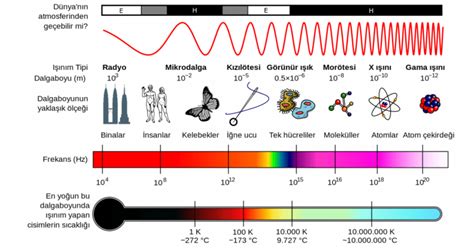 elektromanyetik spektrum tayf nedir evrim agaci