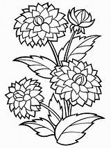 Dahlia Stems sketch template