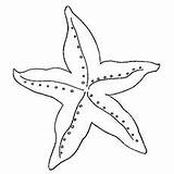 Starfish Coloring Basic Pages Printables Momjunction Drawings Ones Little Designlooter sketch template