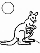 šest Kangaroo Bojanke Crtež sketch template