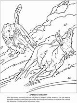 Prehistoric Dover Publications Tiere Beasts Eiszeit sketch template