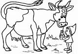 Vaca Colorat Planse Desene Animale Imaginea sketch template