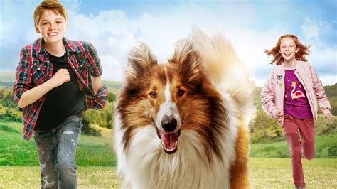 Watch Lassie Come Home 2020 Movie Wikipedia