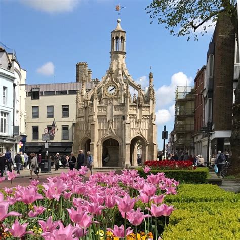 chichester guide best things to do in chichester west sussex aqua