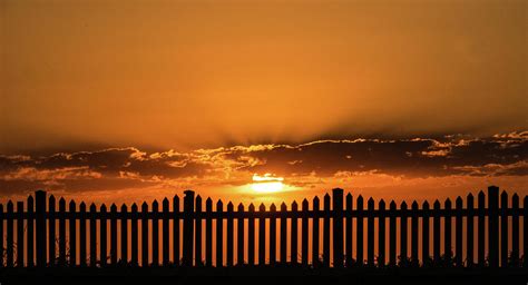 sunset   front fence photograph  leigh henningham