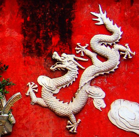 chinese dragon wikipedia