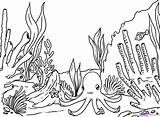 Coloring Coral Reef Pages Kids Draw Sea Reefs Fish Plants Comments Under sketch template