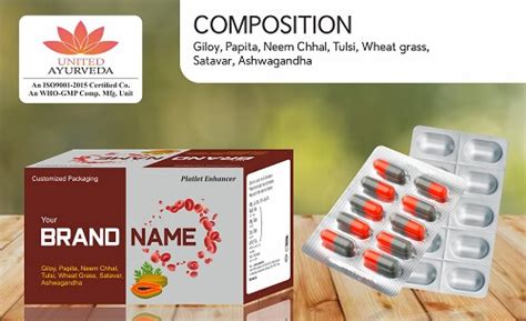 giloy papeta neem chhal tulsi wheat grass satavar ashwagandha tabletcapsule manufacturer