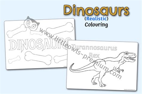 premium dinosaurs early yearseyfspreschool editable