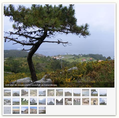 webworking bildergalerie aus den blog bildern mit dem wp galerie plugin erstellen