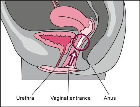 dr wolff s vagisan moisturising cremolum for vaginal dryness
