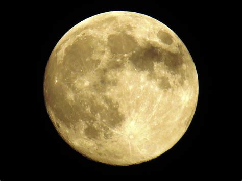 full yellow moon images pictures becuo