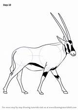 Oryx Beisa Improvements sketch template
