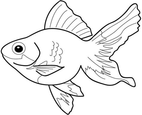 printable fish coloring sheets  kids  kids colouring pages