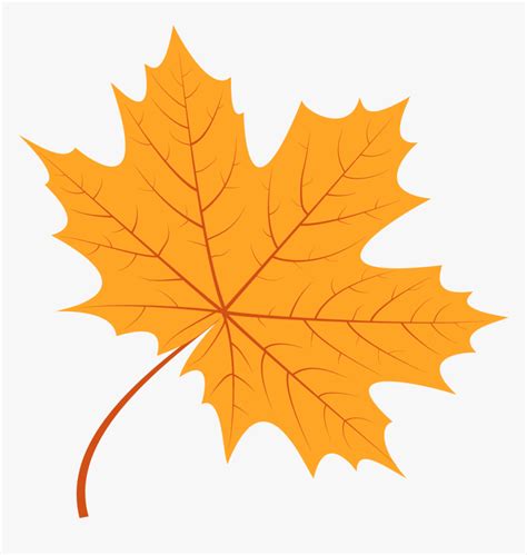 Plane Tree Leaf Vector Hd Png Download Kindpng