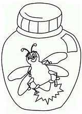 Firefly Coloring Pages Printable Getcolorings Jar sketch template