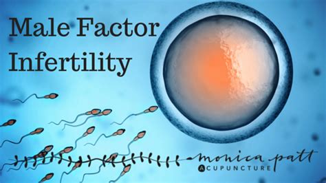 male factor infertility and subfertility monica patt acupuncture