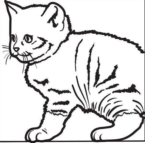 printable cute kitty cat coloring page  kids supplyme