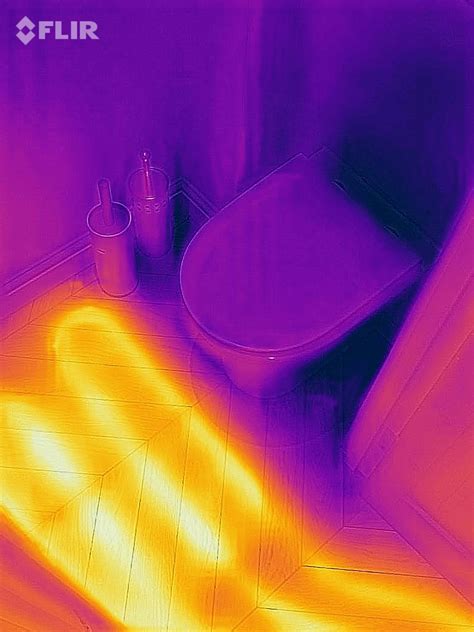 interpretation  thermal images energy efficient sustainable
