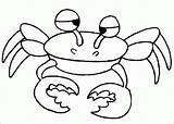 Rac Colorat Desene Planse Imagini Crabi Crab Insecte Copii Racul Fise Cuvinte Cheie Conteaza Educatia Rama sketch template