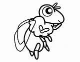 Para Colorear Abeja Bee Queen Dibujos Dibujo Reina Coloring Animales Abejas Pintar Coloringcrew Desde Guardado sketch template