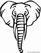 Elephant Coloring Pages Animal Color Printable Head Sheets Found Elephants sketch template