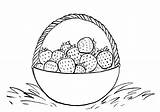 Berries Coloring Pages sketch template