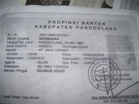 indonesiaku manusia tertua diplanet bumi ternyata