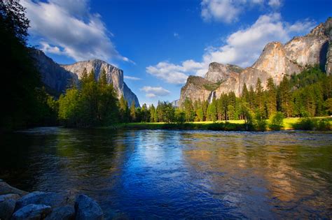 5 Motivating Reasons To Visit Yosemite The Redwoods In