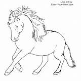 Coloring Newfoundland Pony Pages Dog Drawing Color Drawings Horse Line Own Patterns Getcolorings Print Index Getdrawings sketch template
